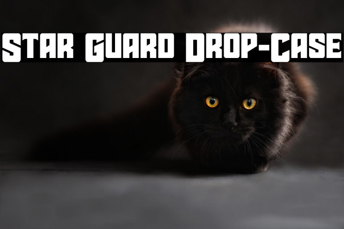 Star Guard Drop-Case Example 3