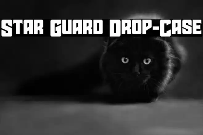 Star Guard Drop-Case Font examples