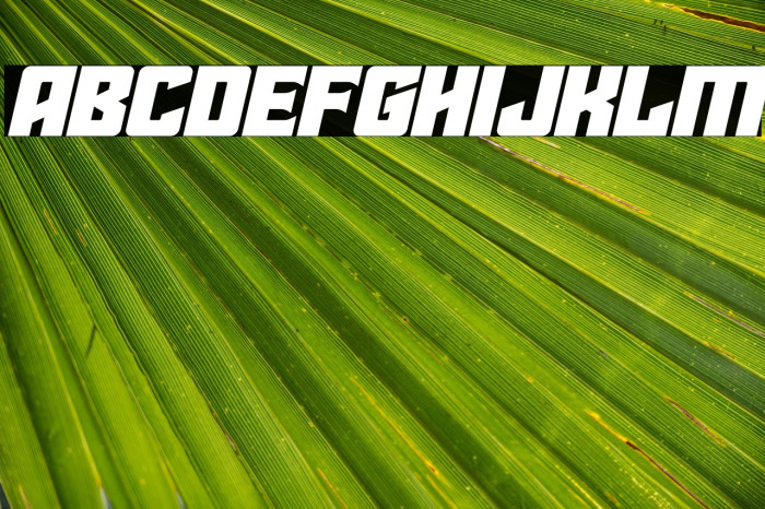 Star Guard Expanded Italic Example 3