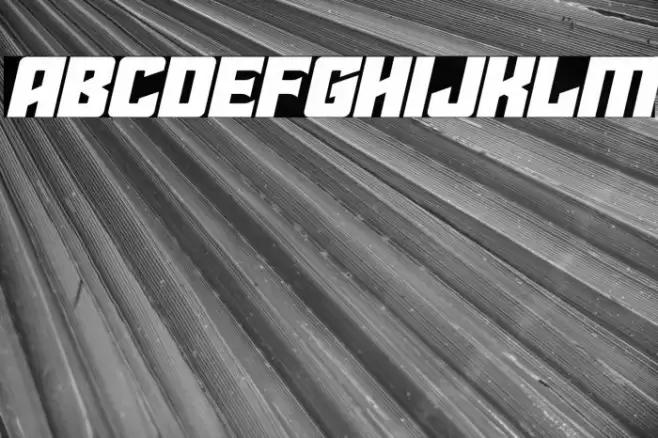 Star Guard Expanded Italic Font examples