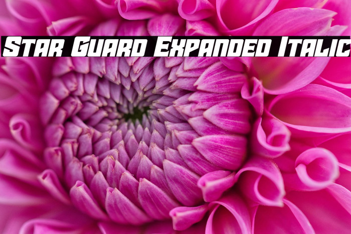 Star Guard Expanded Italic Example 3