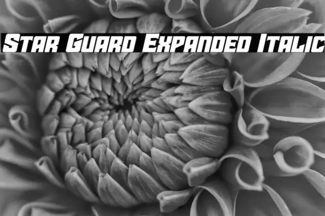 Star Guard Expanded Italic Font examples