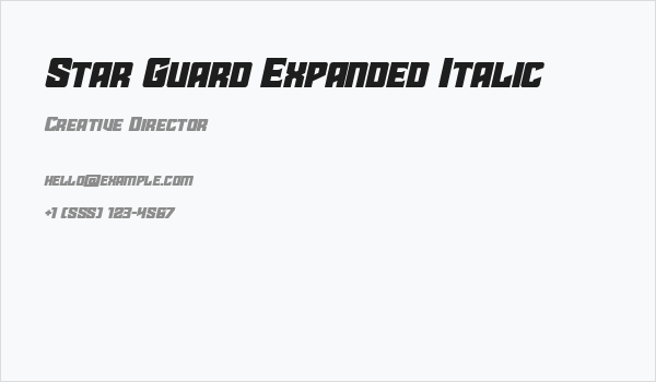Star Guard Expanded Italic Business Card