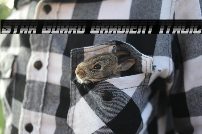 Star Guard Gradient Italic Example 2