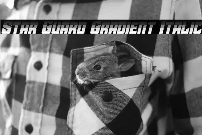 Star Guard Gradient Italic Font examples