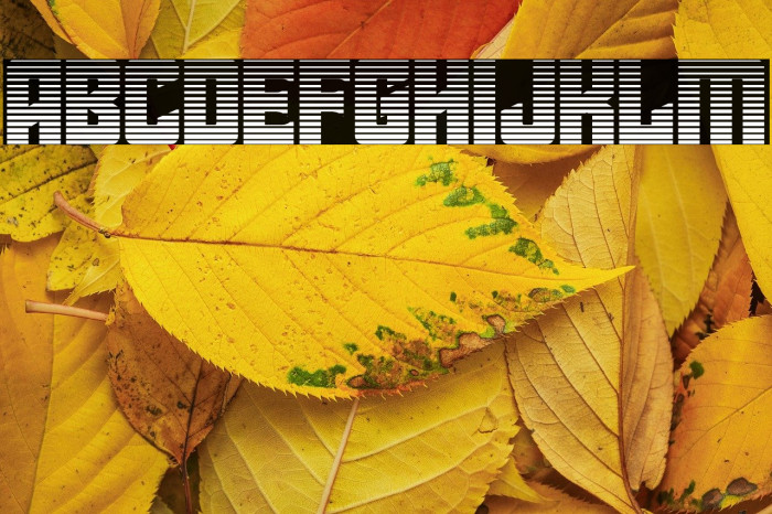 Star Guard Gradient Example 2