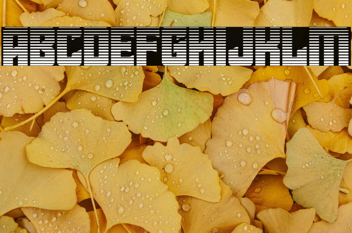 Star Guard Gradient Example 3