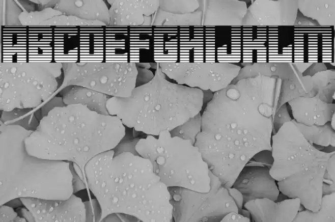 Star Guard Gradient Font examples