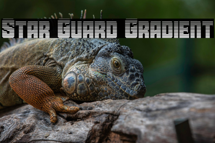 Star Guard Gradient Example 1