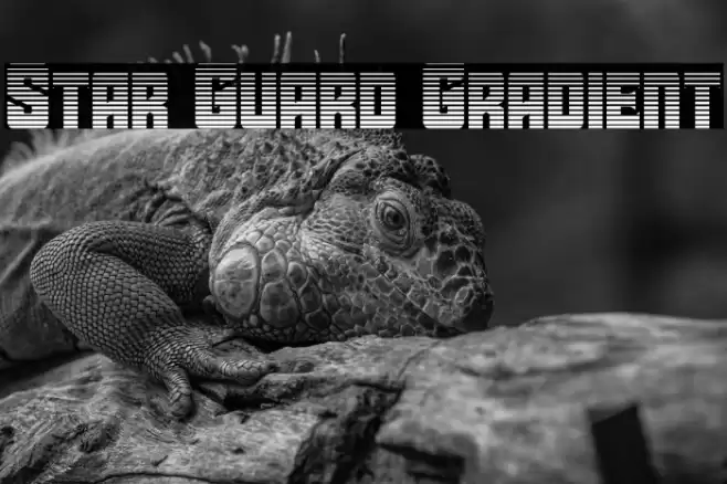 Star Guard Gradient Font examples