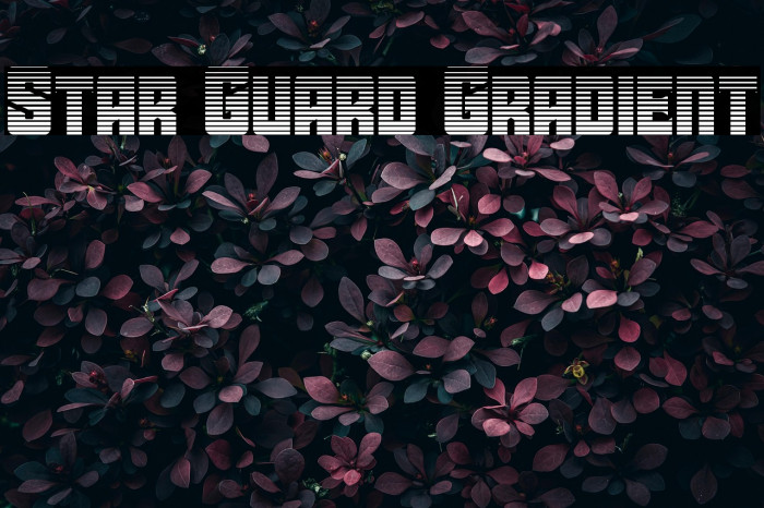 Star Guard Gradient Example 2