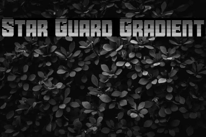 Star Guard Gradient Font examples