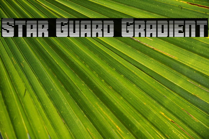 Star Guard Gradient Example 3