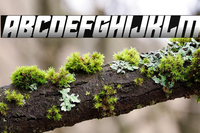 Star Guard Halftone Italic Example 2