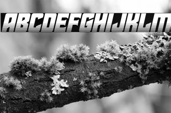 Star Guard Halftone Italic Font examples