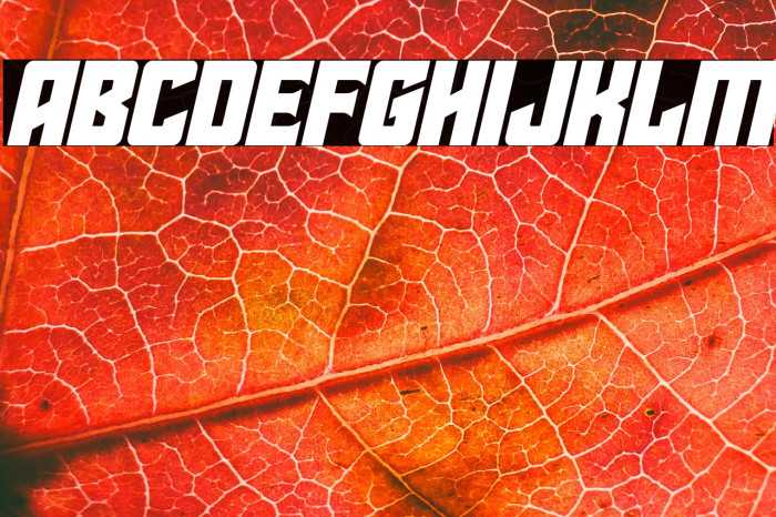 Star Guard Italic Example 2