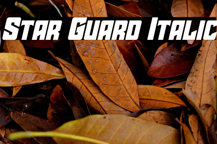 Star Guard Italic Example 1