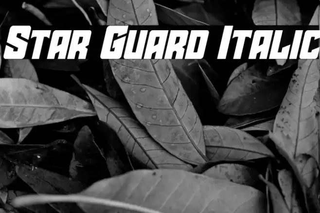 Star Guard Italic Font examples