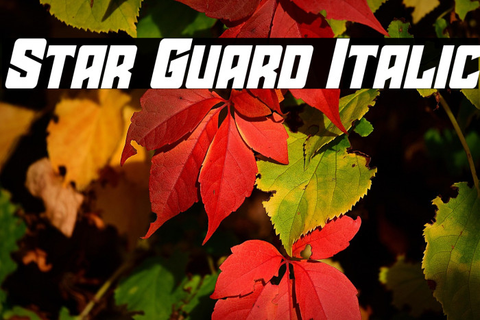 Star Guard Italic Example 2