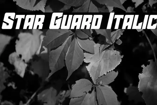 Star Guard Italic Font examples