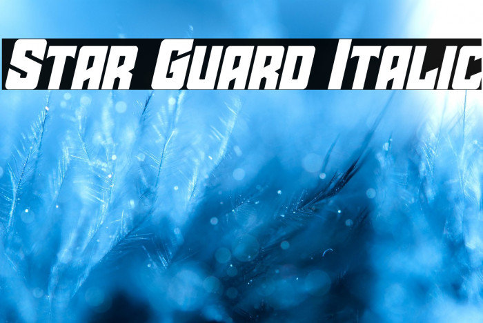 Star Guard Italic Example 3