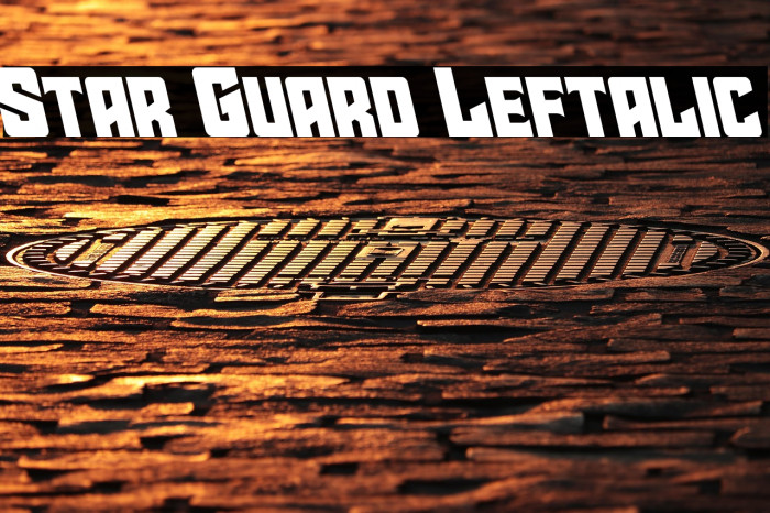 Star Guard Leftalic Example 1