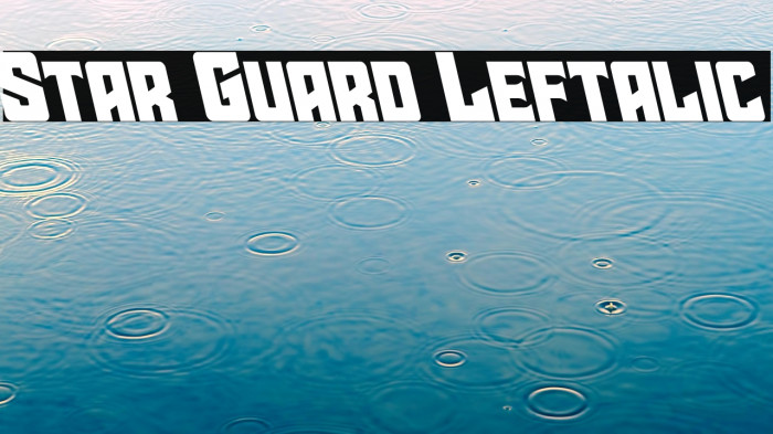 Star Guard Leftalic Example 3