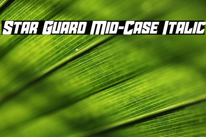 Star Guard Mid-Case Italic Example 1