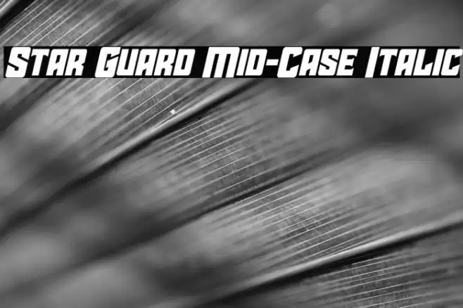 Star Guard Mid-Case Italic Font examples