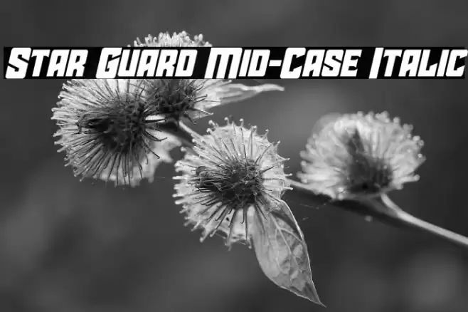 Star Guard Mid-Case Italic Font examples