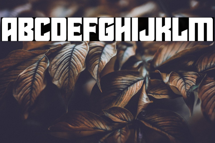 Star Guard Mid-Case Example 1