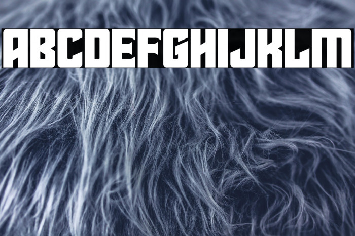 Star Guard Mid-Case Example 3