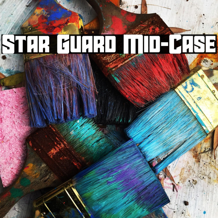 Star Guard Mid-Case Example 1