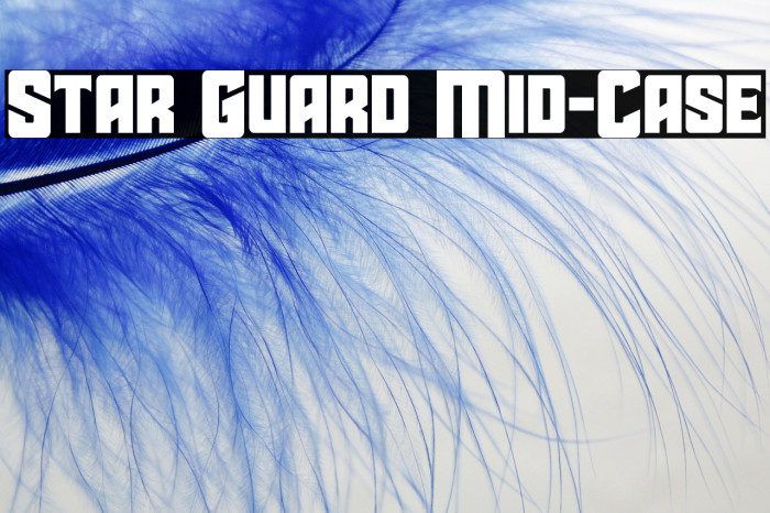 Star Guard Mid-Case Example 3