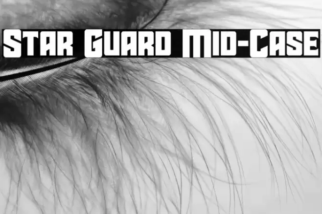 Star Guard Mid-Case Font examples