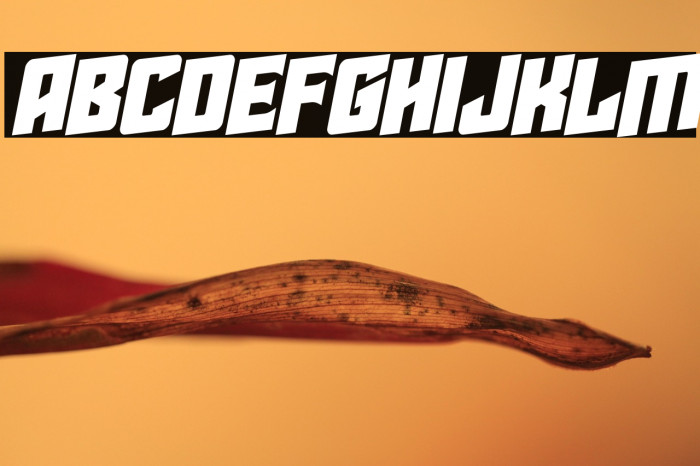 Star Guard Rotalic Example 3