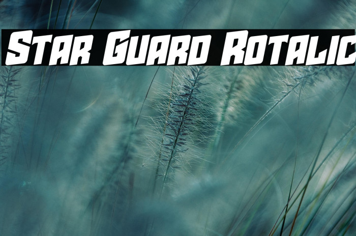 Star Guard Rotalic Example 1