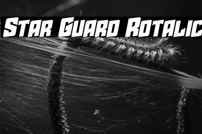 Star Guard Rotalic Font examples