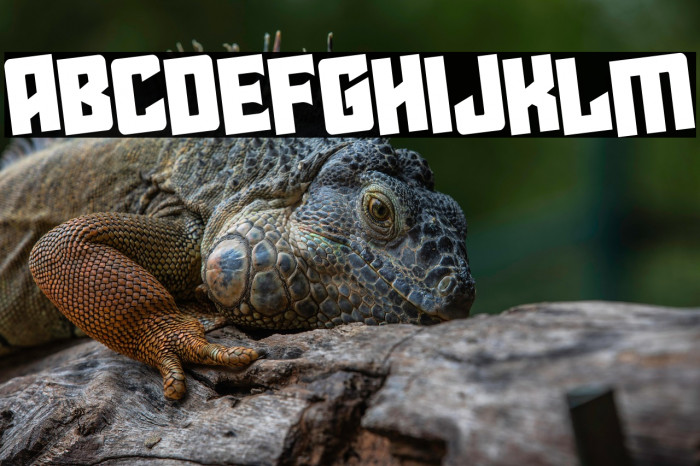 Star Guard Rotated Example 1