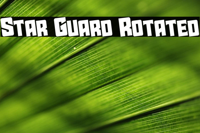 Star Guard Rotated Example 3