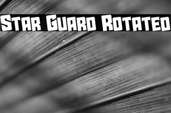 Star Guard Rotated Font examples