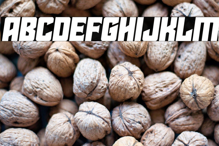 Star Guard Semi-Italic Example 1