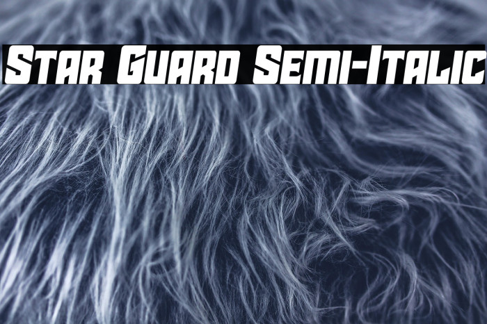 Star Guard Semi-Italic Example 1