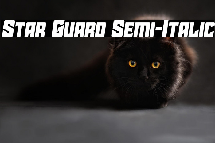 Star Guard Semi-Italic Example 2