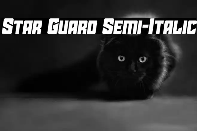 Star Guard Semi-Italic Font examples
