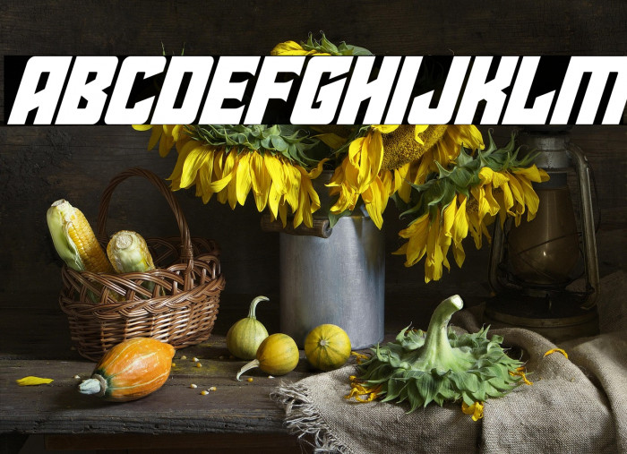 Star Guard Super-Italic Example 3