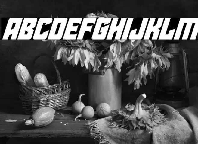 Star Guard Super-Italic Font examples