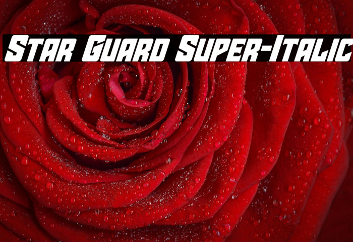 Star Guard Super-Italic Example 2