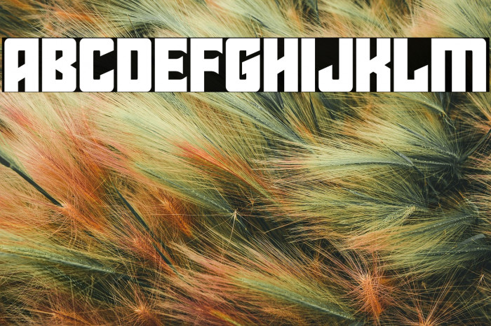 Star Guard Example 1