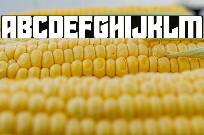 Star Guard Example 3